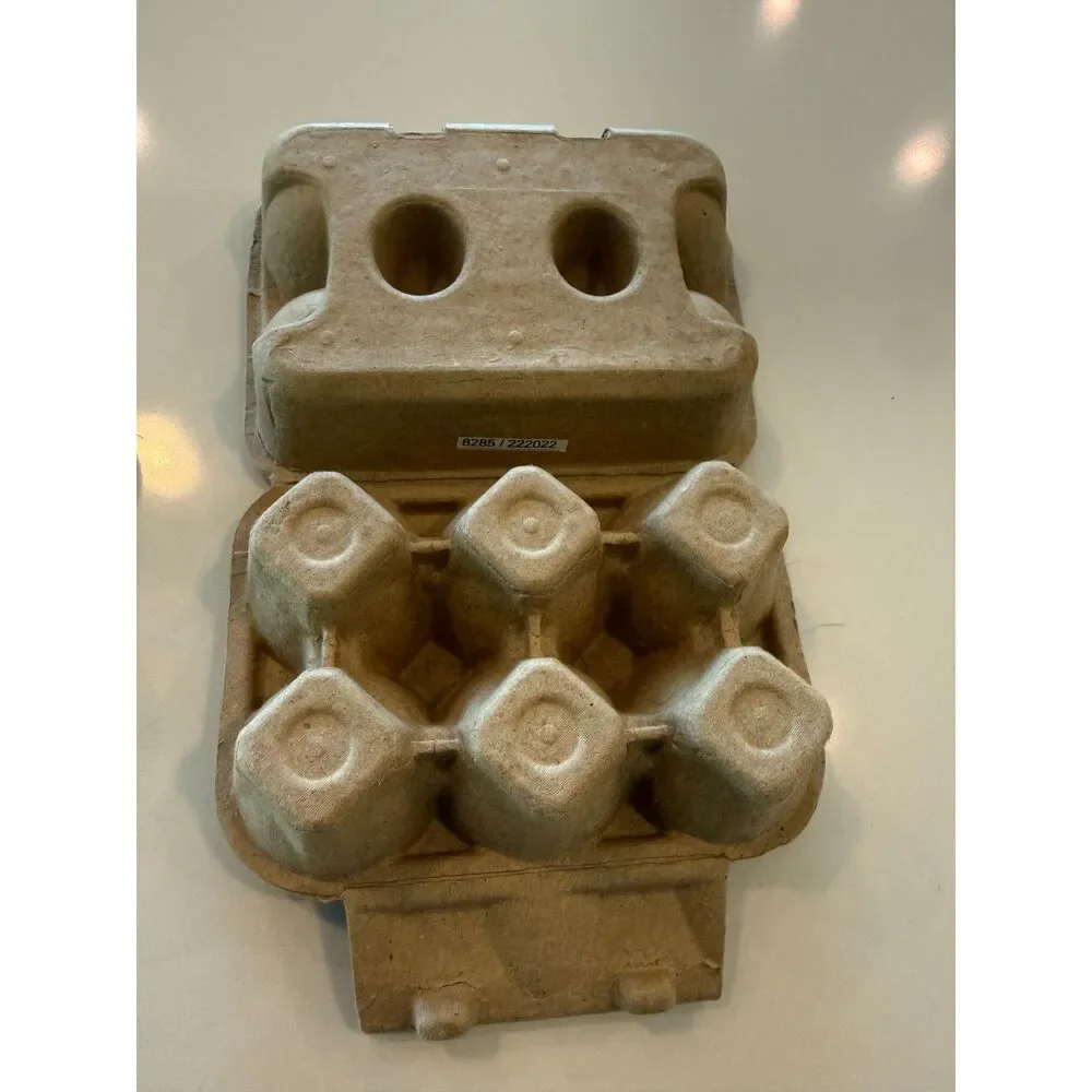 Tender Leaf Wooden Toy Eggs and Carton